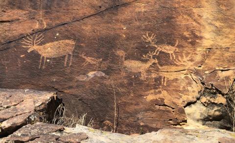 Whoop Up Canyon Petroglyphs